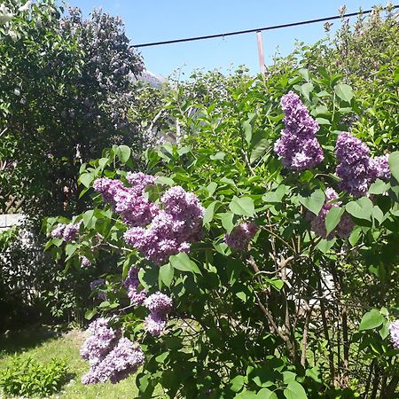 Gretl - Residence Парчинес Екстер'єр фото